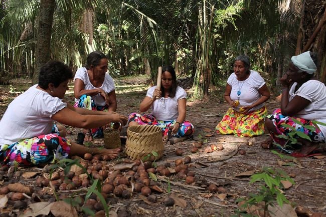 Quebradeiras de Coco Babaçu lutam pela preservação da cultura e do trabalho