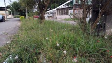 Problemas na praça do Bairro Araújo 2 vu 3