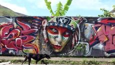 2016 em imagens 7 04 05 12 grafite em muro do linhares mostra graffiti purencontro