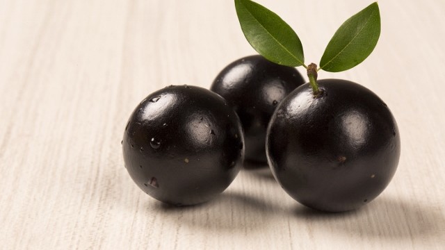 JABUTICABA EDITADA