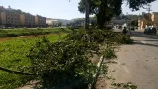 chuva avbrasil leo1