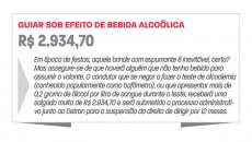 Para que as férias não virem dor de cabeça 8 slide8