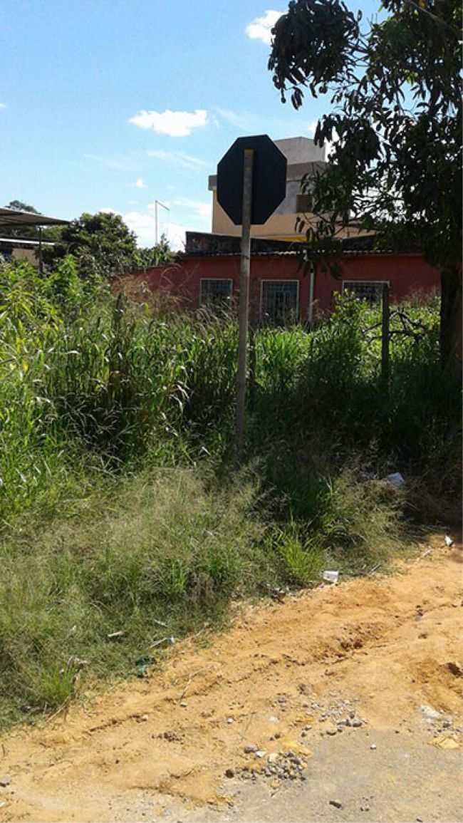 VIZINHO DO terreno abandonado estaria jogando lixo na área