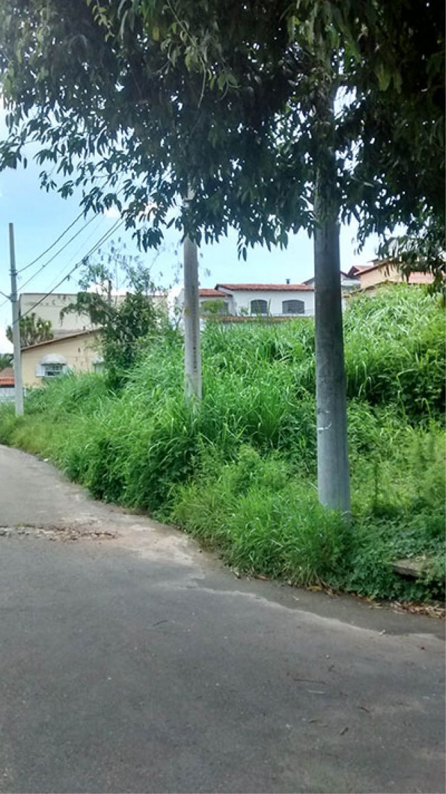 MATAGAL DIFICULTA acesso à Praça Graciliano Ramos LUIZ CARLOS DA SILVA