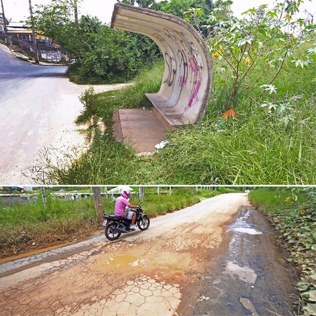 MATO ALTO no ponto de ônibus da Rua Clóvis Seroa da Motta e buracos na via preocupam moradores FOTO: LEONARDO COSTA