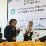destaquelacteofelipe