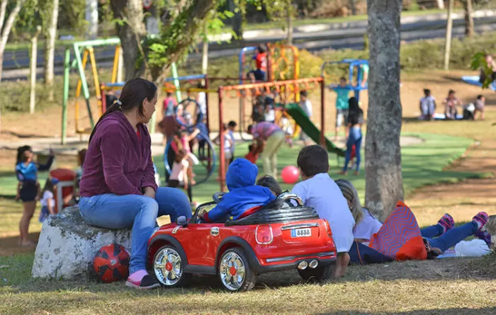 galeria ferias no parque da lajinha marcelo3