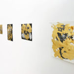 exposiçãofelipe