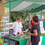 feira teste 2