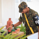 aedes fotos publicas
