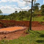 barraguinha cap