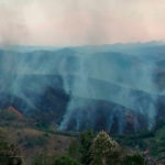 incendiosalvaterra