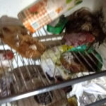 geladeira pm