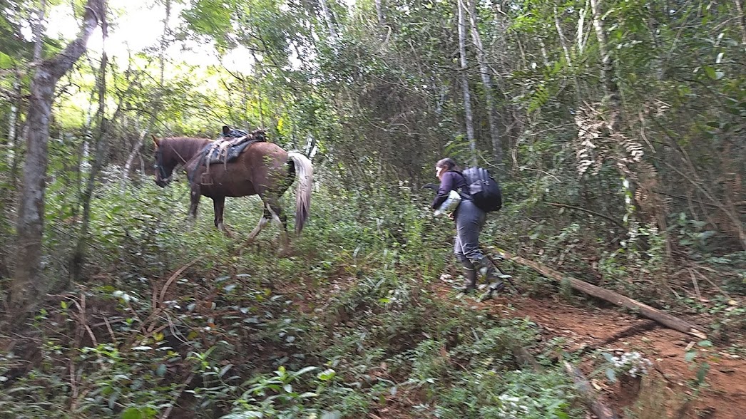 Cida e sua égua Estrela