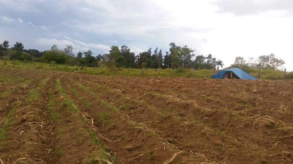 fazenda posseiros 2