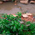 Vida Urbana Linhares
