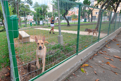 parcão capa