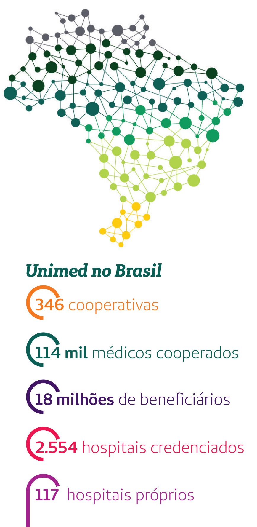 Infográfico Brasil