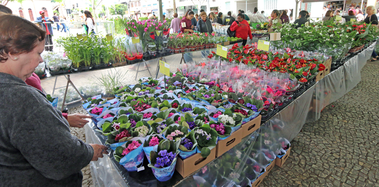 feira felipe