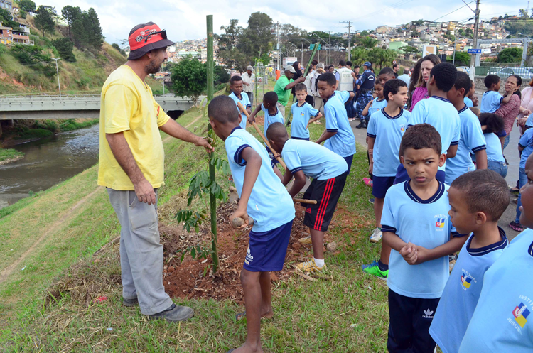 plantio interna olavo