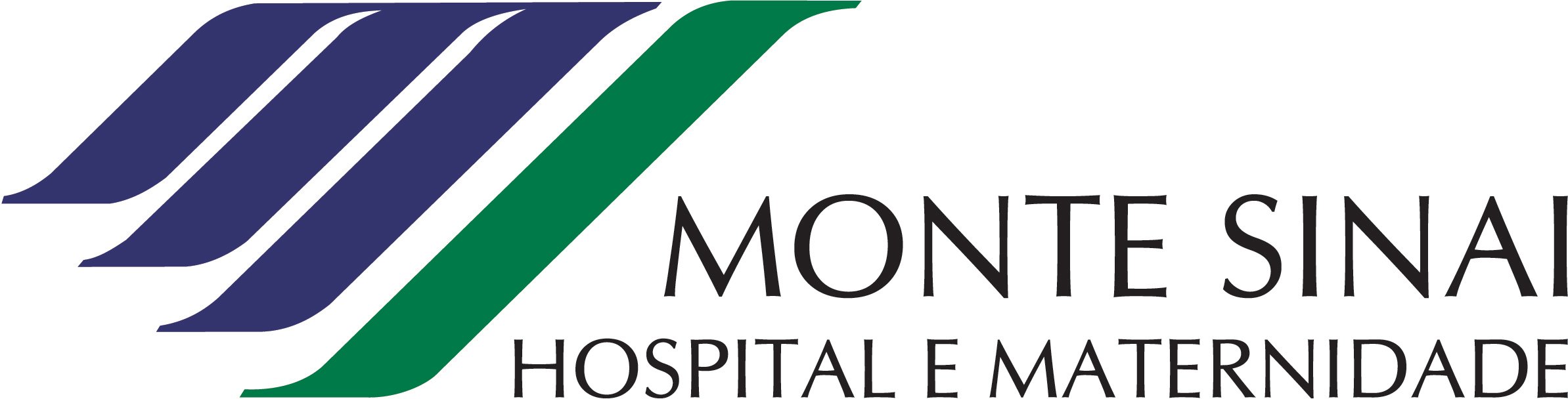 LOGOTIPO HMS