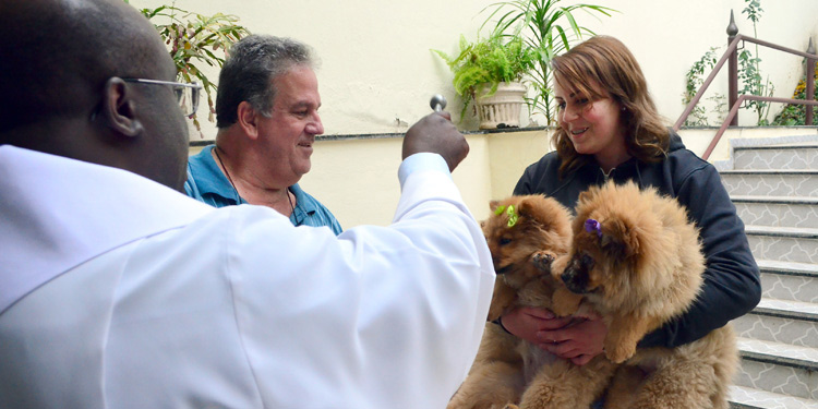 Confira programação da 'Semana de Proteção Animal' 2 benção arquivo Olavocapa