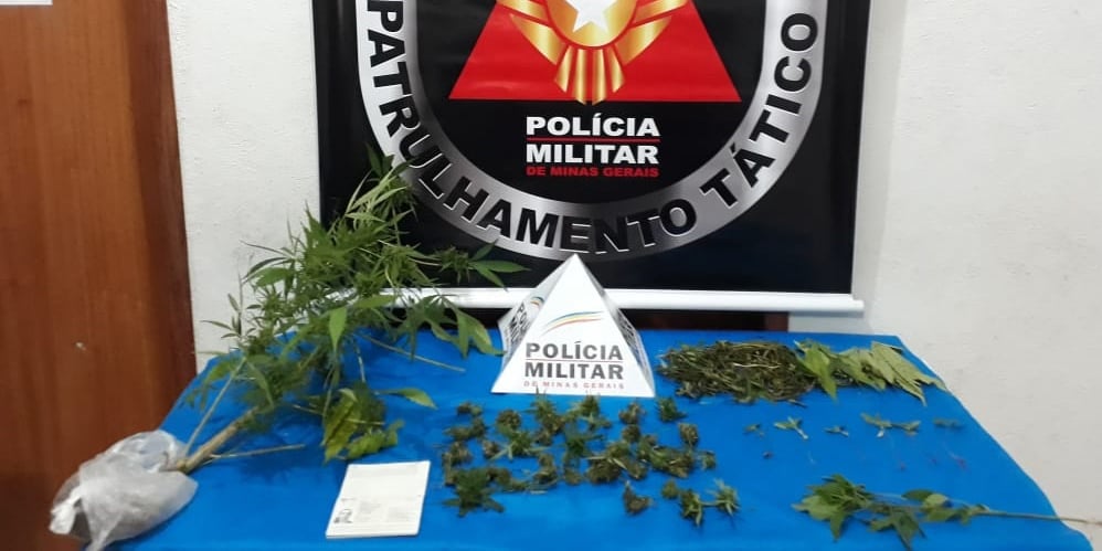 maconha do português para capa