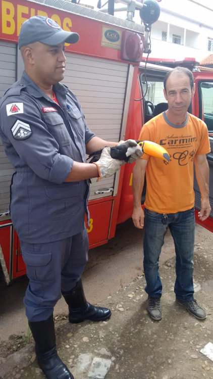 tucano divulgação bombeiros