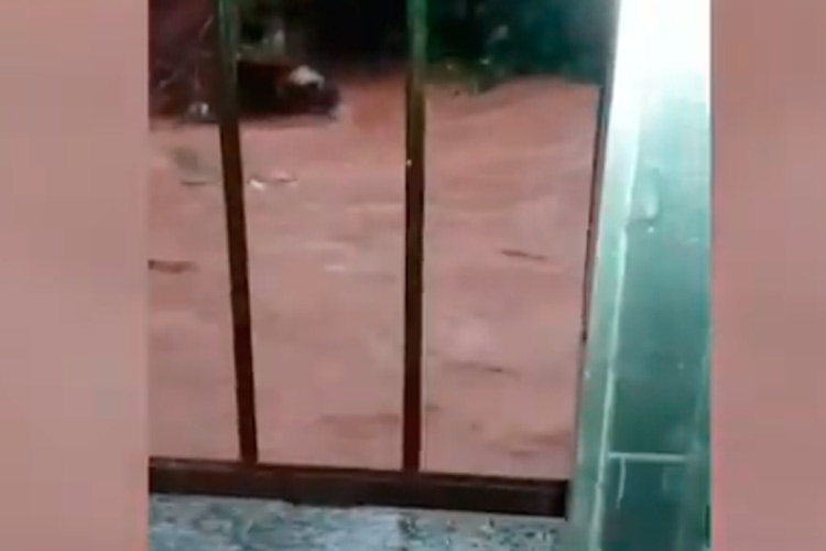 Imagem: Moradora do Manoel Honório vive momento de tensão durante tempestade
