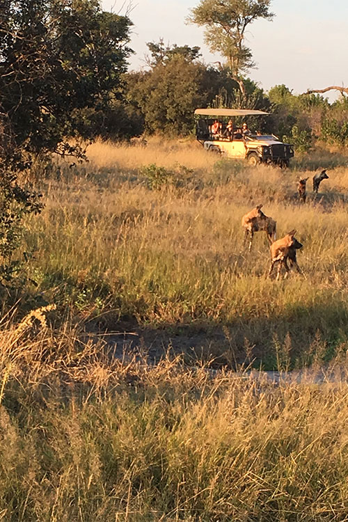 boa viagem savana 1