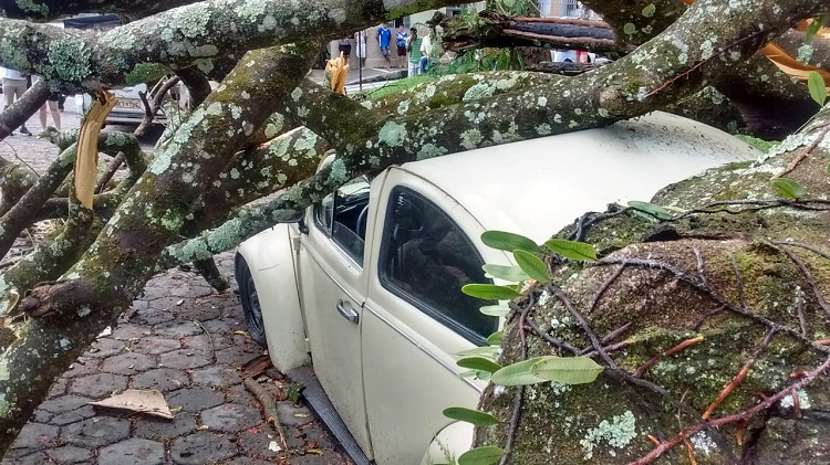 fusca atingido por arvore em lima duarte Hudson Almeida 2