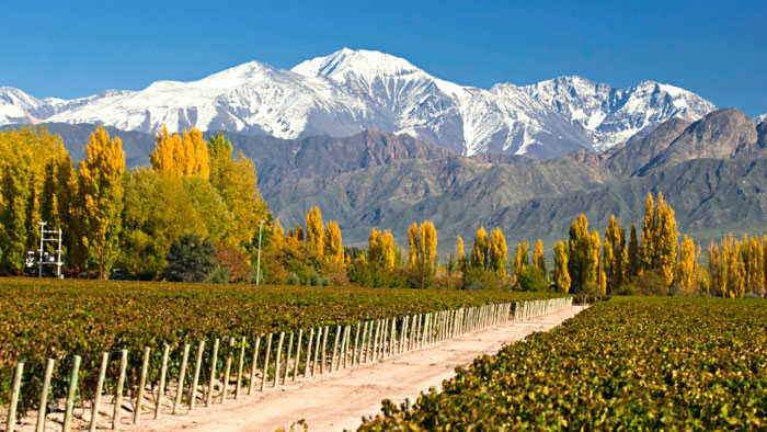 mendoza