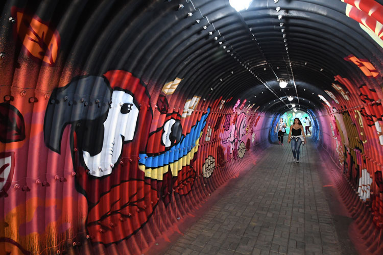 Grafite-2-MARCELO-RIBEIRO