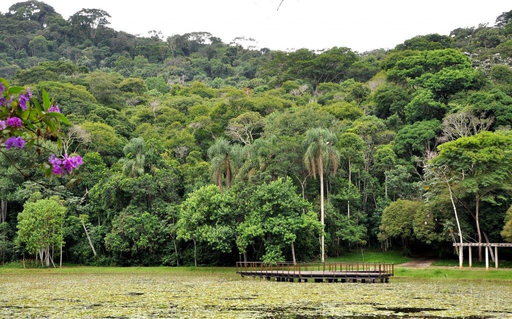 2jardim botanico by ufjf1