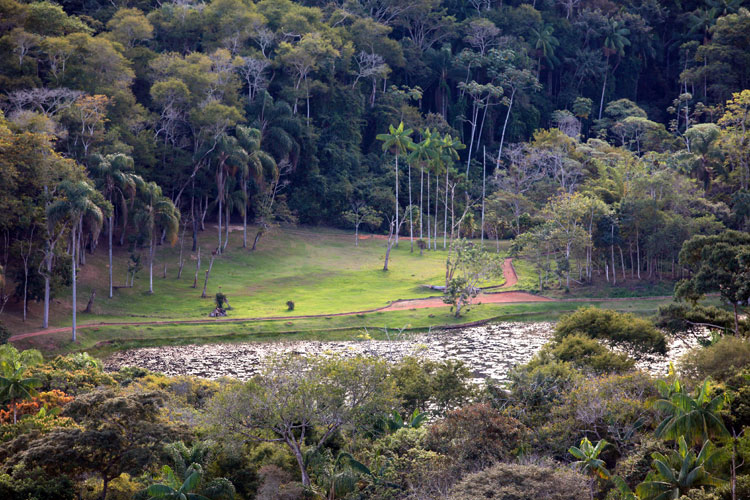 jardim botânico2 fernando priamo arquivo