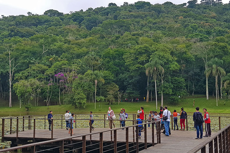 jardim botanico by leo costa 2