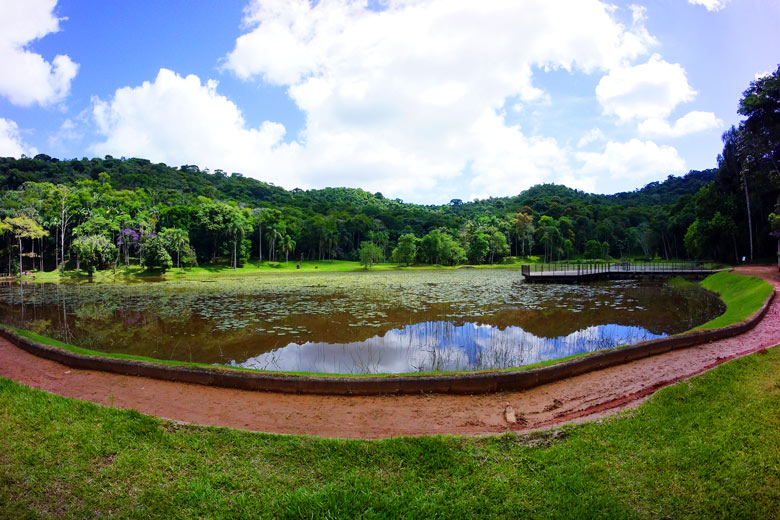 jardim botanico by olavo prazeres