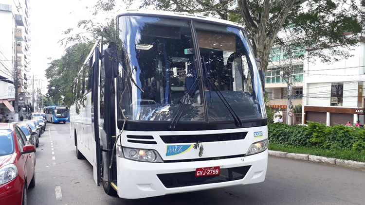 Galhos de árvore caem e atingem ônibus na Rio Branco 1 onibus priamo2