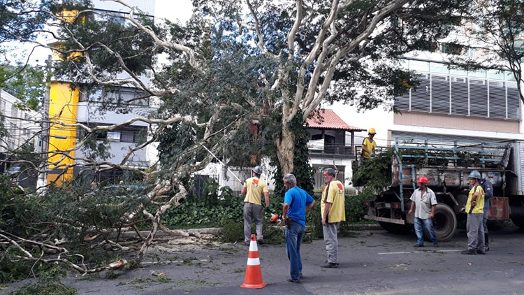 Galhos de árvore caem e atingem ônibus na Rio Branco 2 onibus priamo3