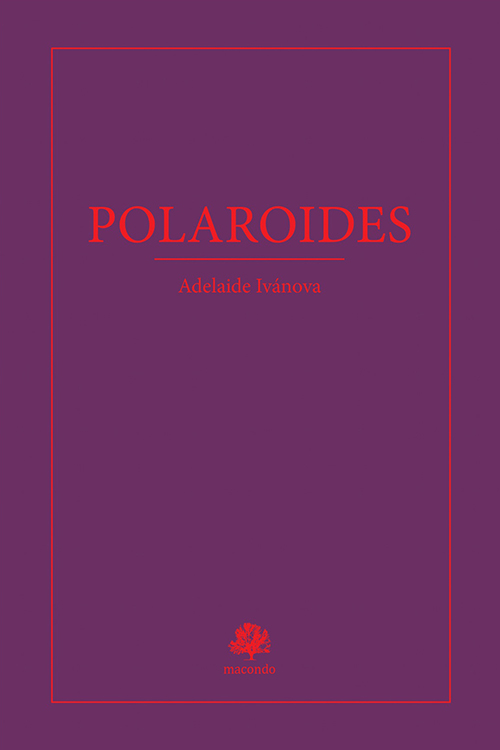 adelaide polaroides