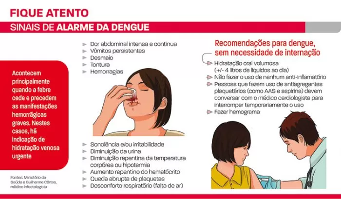 Especialistas Dão Orientações Sobre Prevenção à Dengue 8961