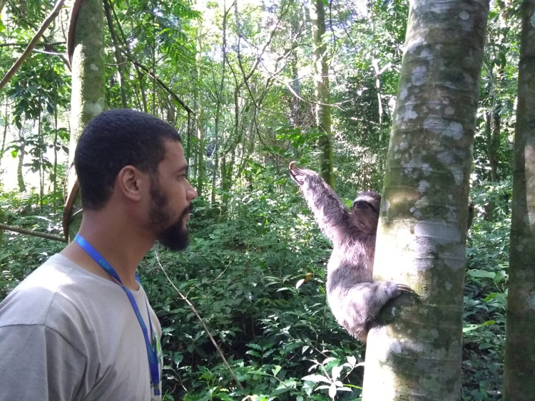 preguiça resgatada concer