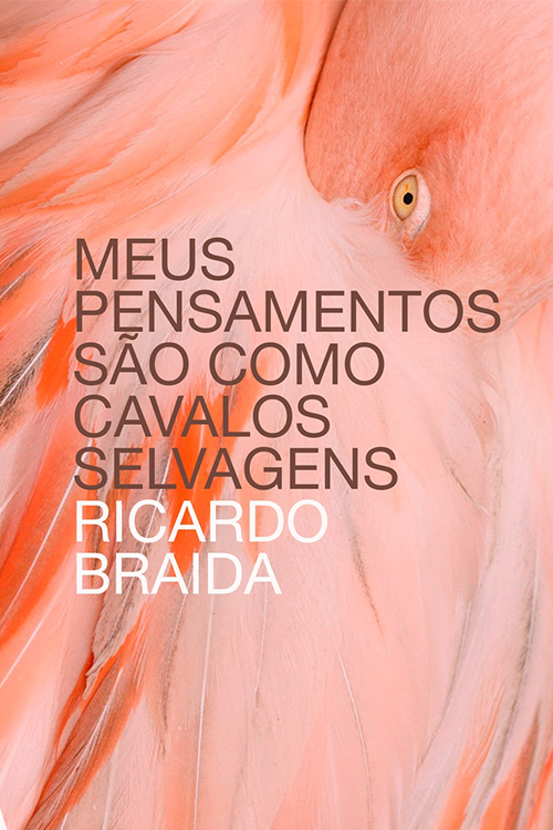 capa braida