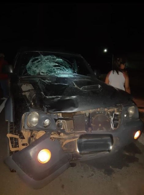 atropelado br 267 prf
