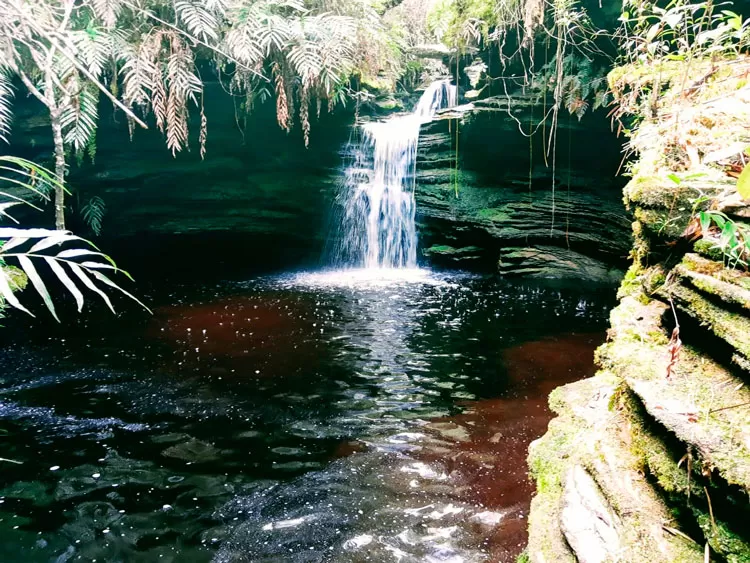 Cachoeira do Campari by Rodrigo Paranhos