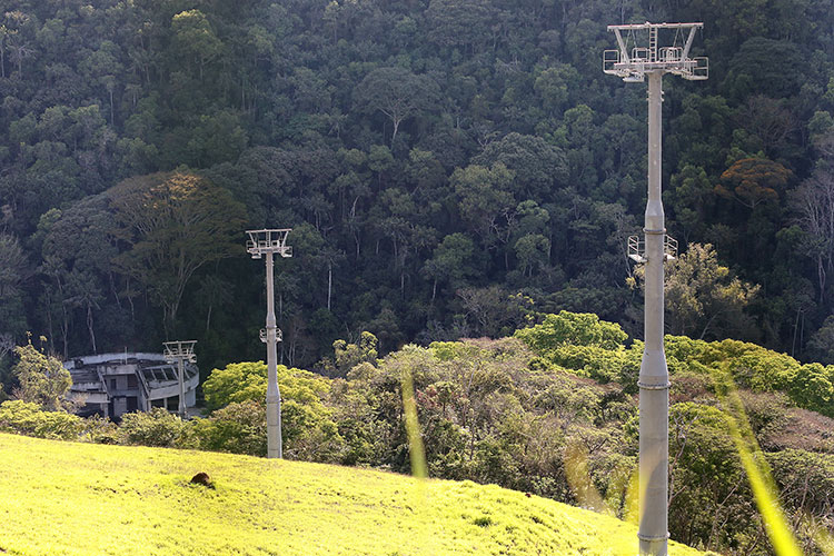 Teleférico-Jardim-Botânico-by-Fernando-Priamo