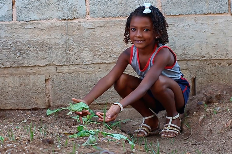 alimentação1