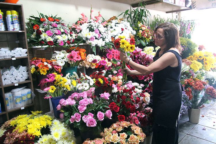flores finados fernando
