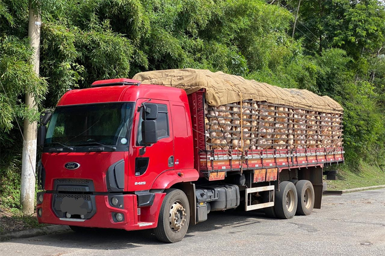 PRF autua veículo com excesso de carga na BR-040 1 caminhão de abóbora divulgação prf