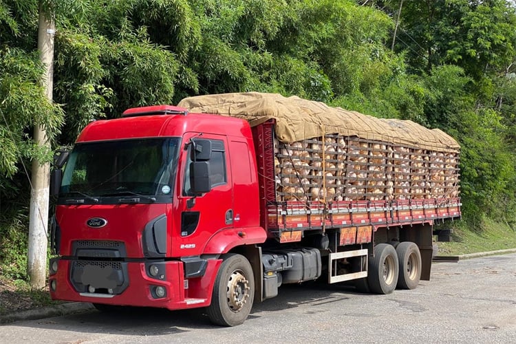 PRF autua veículo com excesso de carga na BR-040 1 caminhão de abóbora divulgação prf